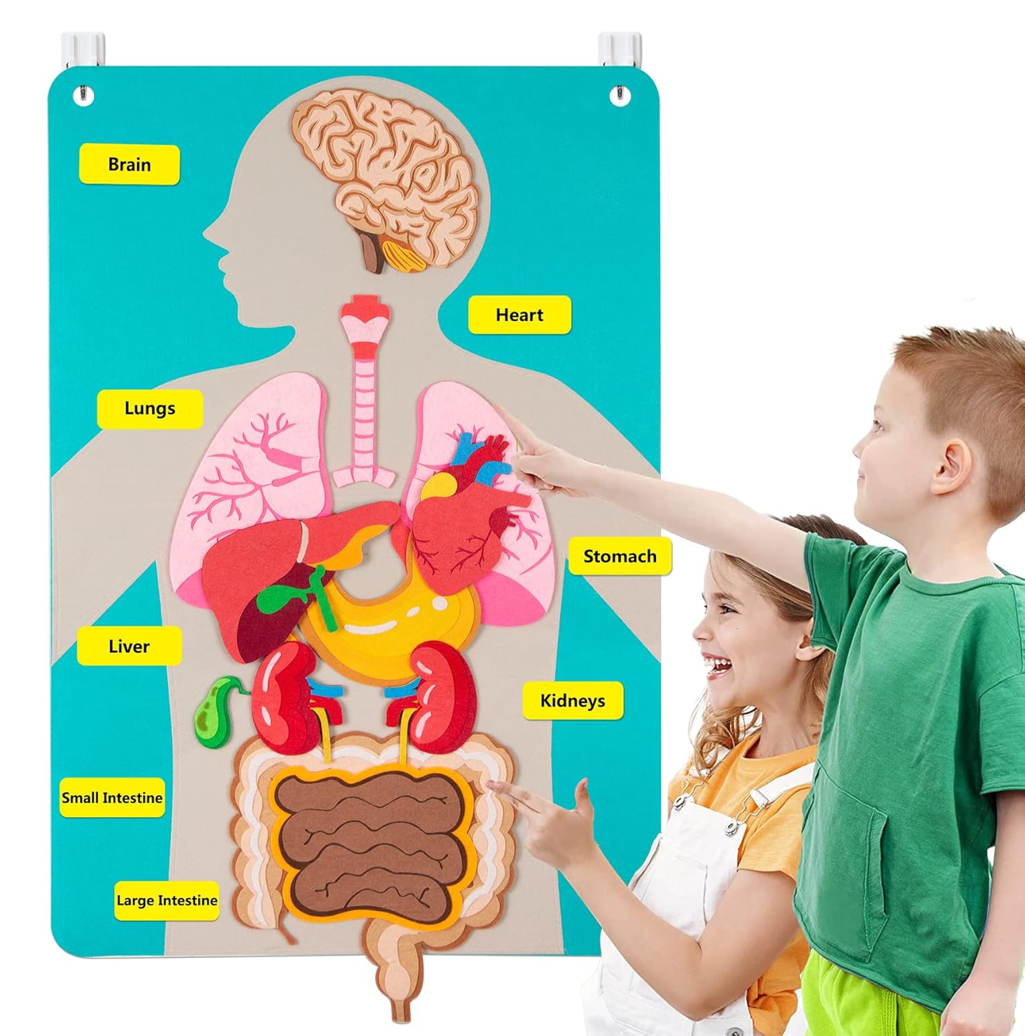 Human Body Puzzle - Menselijke lichaamsdelen Vilten bordverhalen voor kinderen