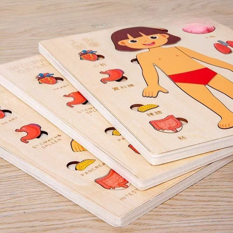 Montessori-puzzels Druk bord M - Human Body Puzzle recensie en prijs