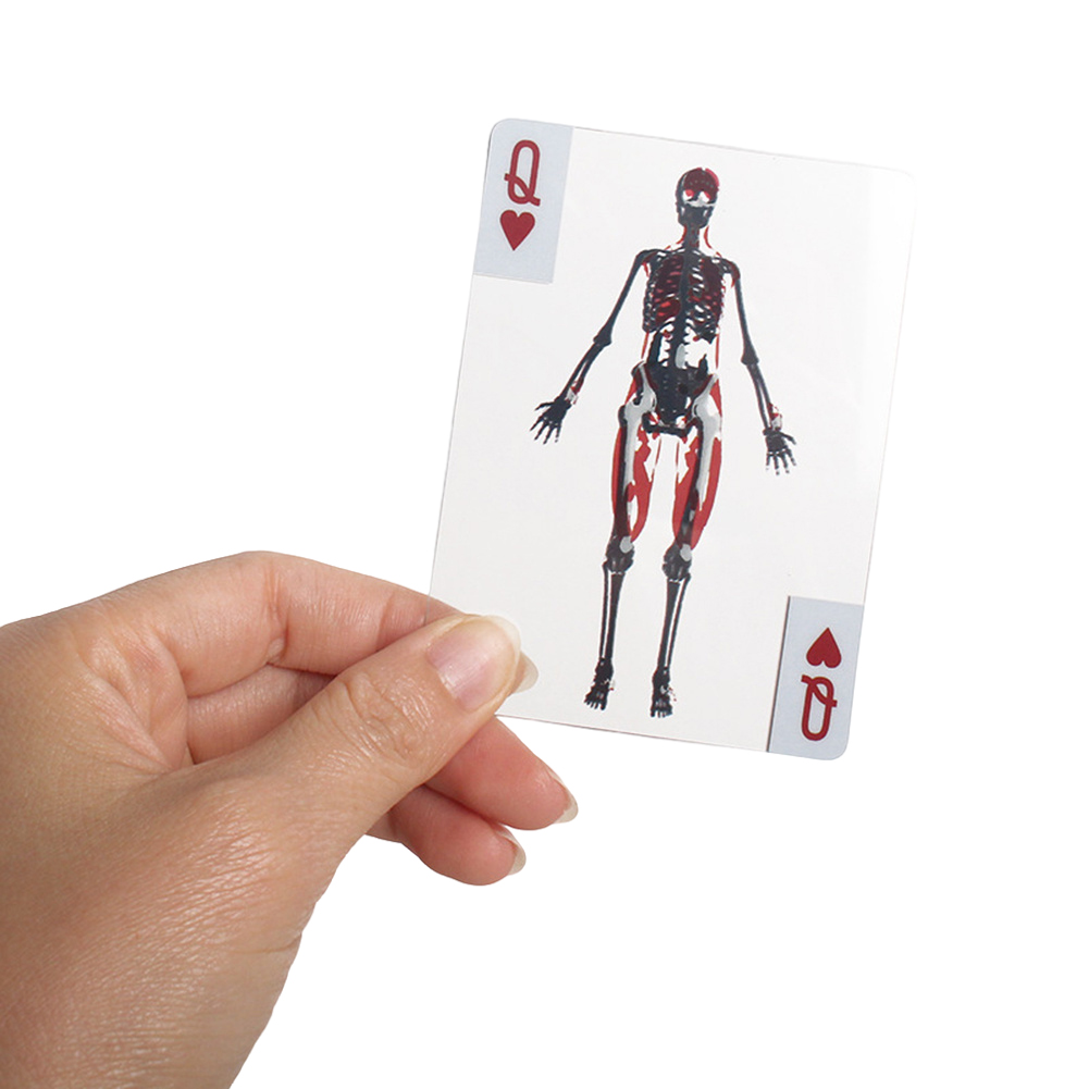 3D-afbeelding Educatieve kaart - Kids Education Images recensie en prijs