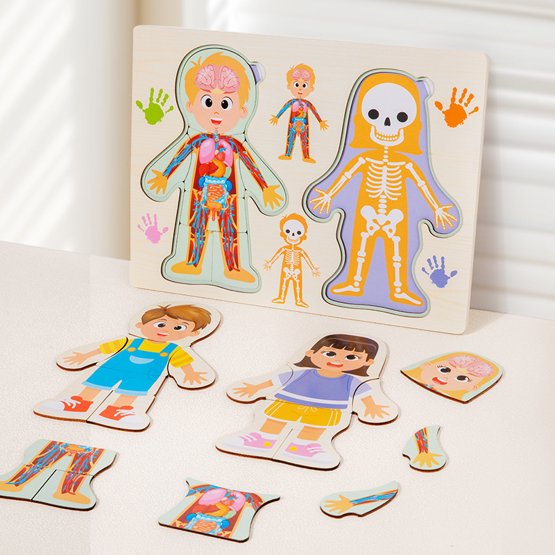 Kinderen Menselijke Lichaamsst - Human Body Puzzle recensie en prijs
