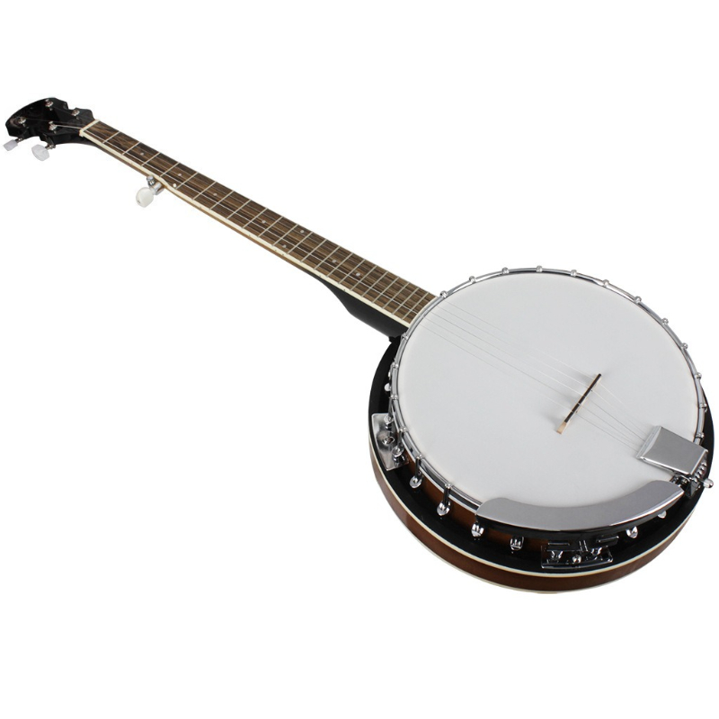5-snarige banjo westerse profe - Kids Educational Songs recensie en prijs