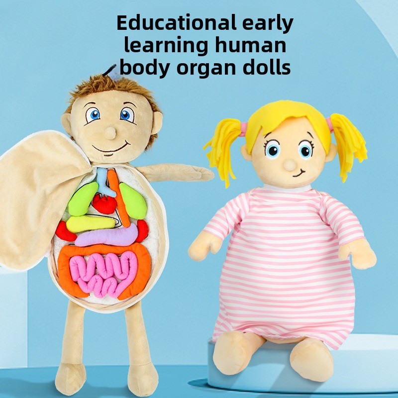 1-delige menselijke organen co - Human Body Puzzle recensie en prijs