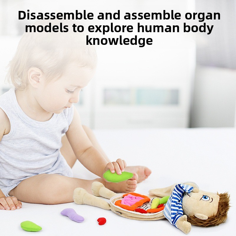 1-delige menselijke organen co - Human Body Puzzle recensie en prijs