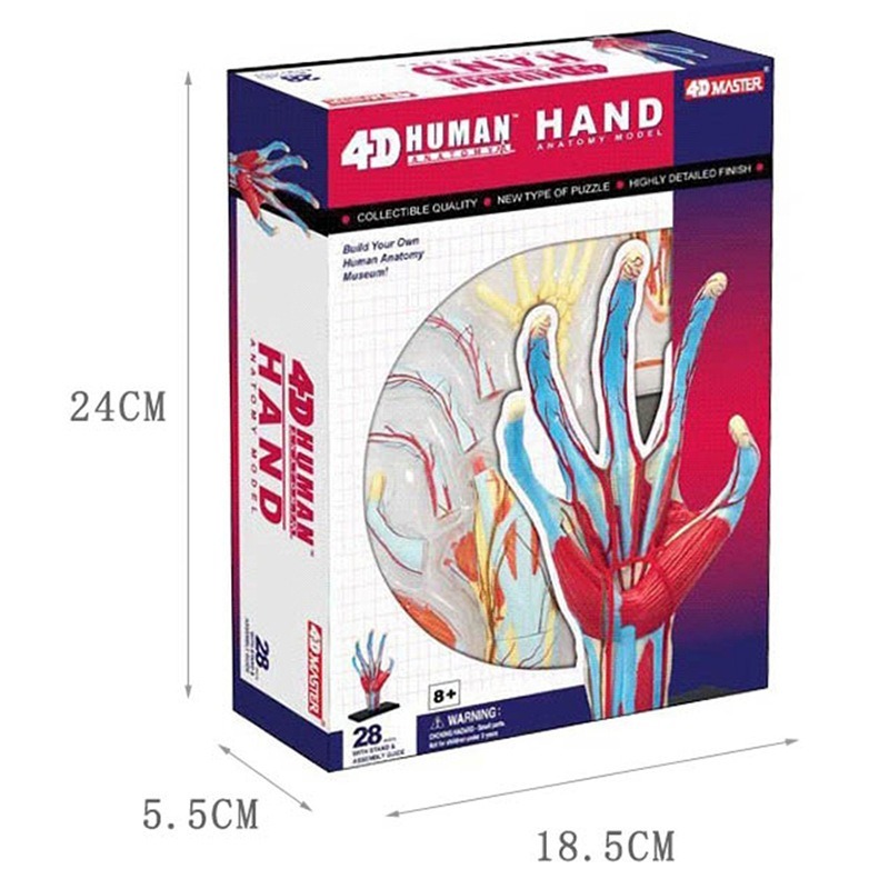 4d Master Menselijke Hand Bots - Human Body Puzzle recensie en prijs