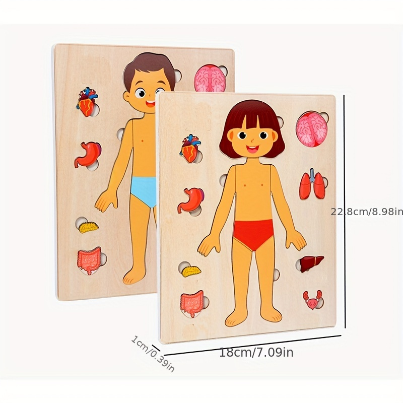 Menselijk Lichaam Puzzels Voor - Human Body Puzzle recensie en prijs