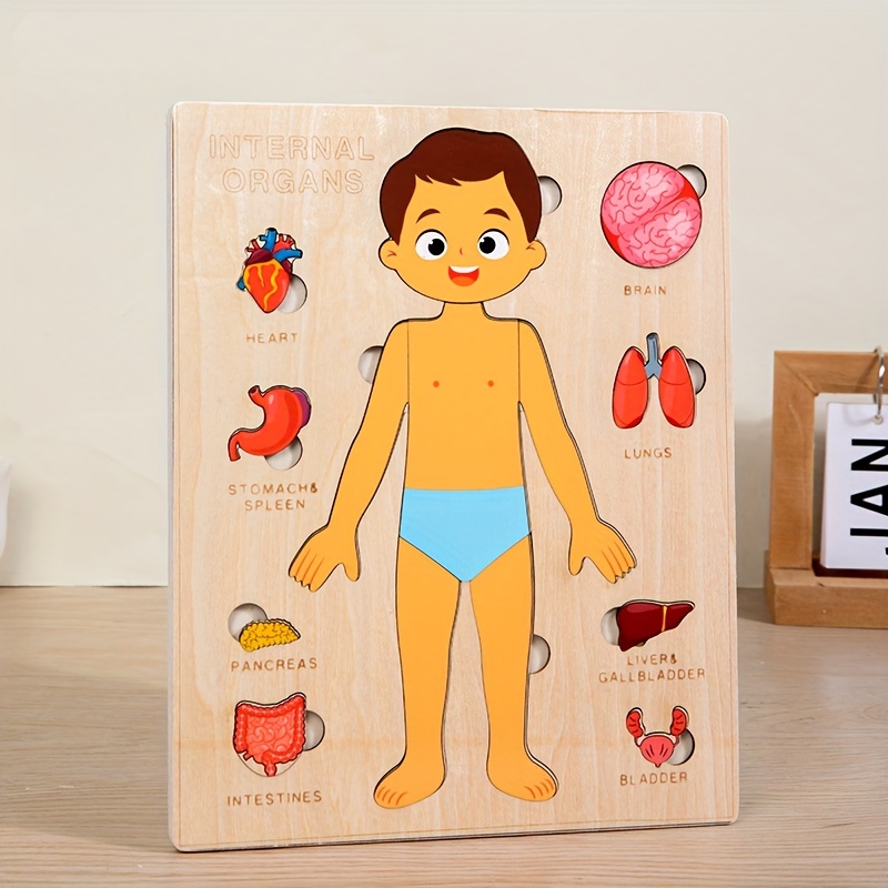 Menselijk Lichaam Puzzels Voor - Human Body Puzzle recensie en prijs