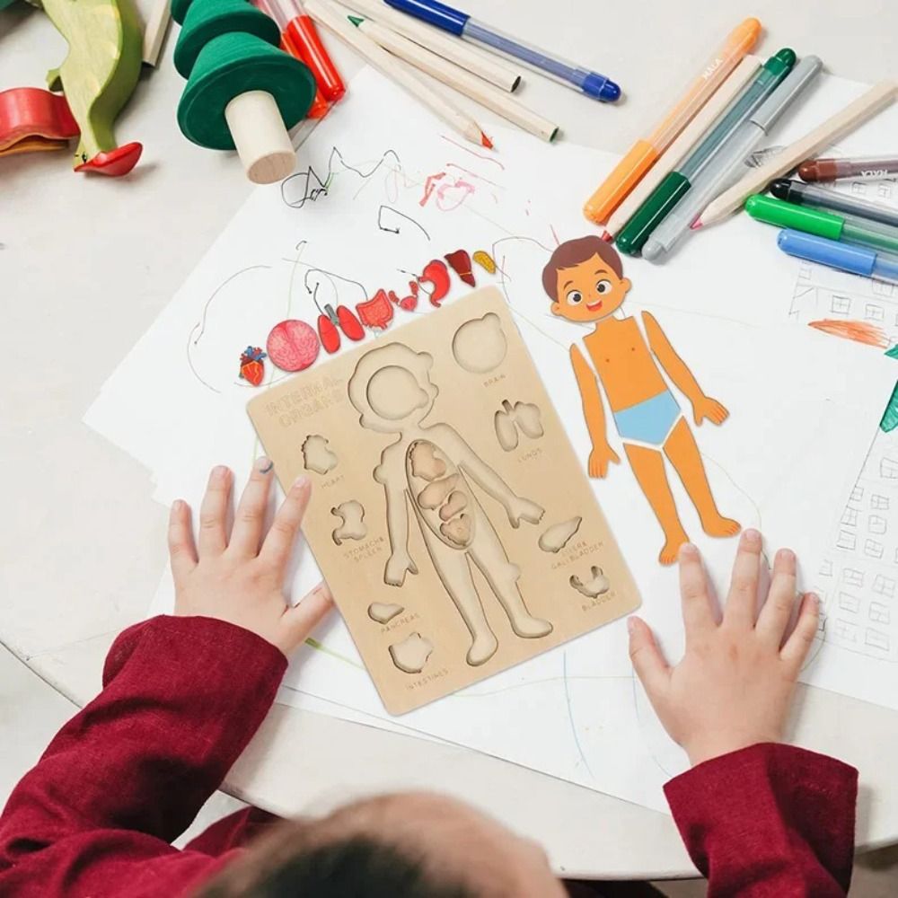 NIEUW Leerbord Montessori-puzz - Human Body Puzzle recensie en prijs