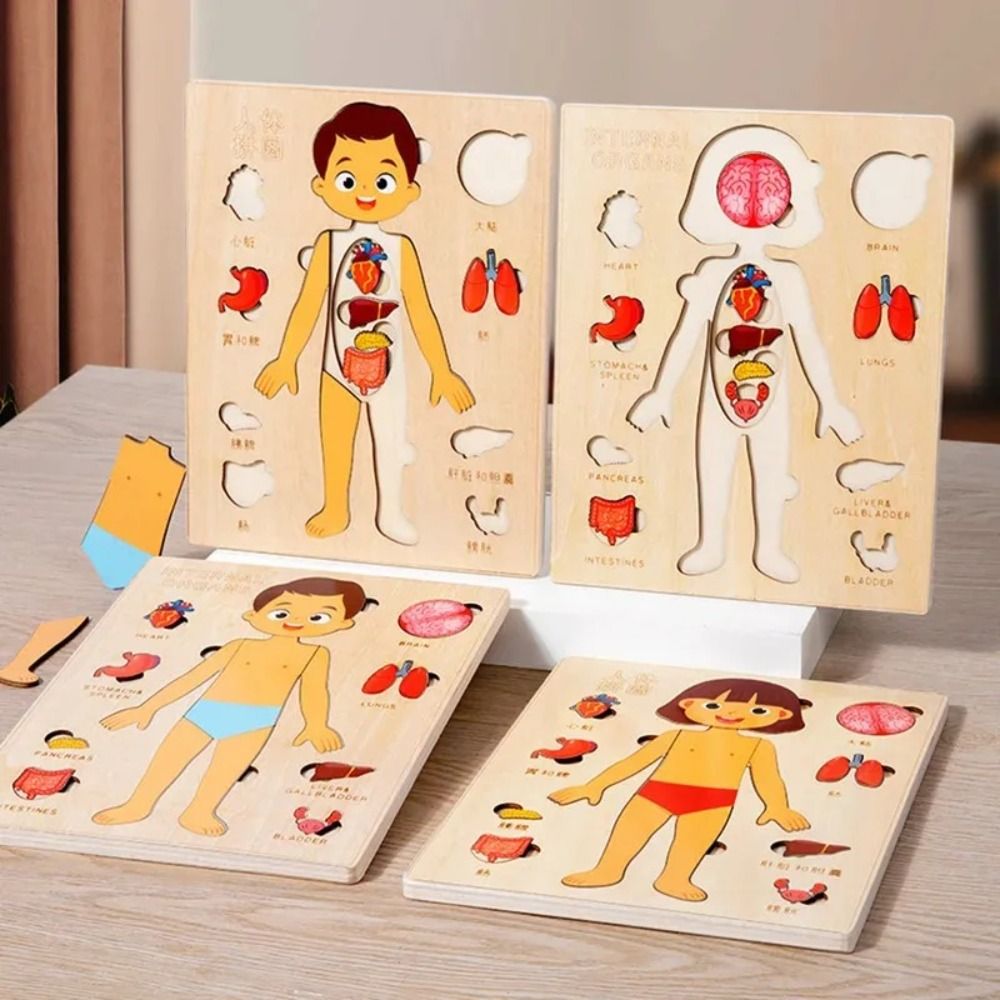 NIEUW Leerbord Montessori-puzz - Human Body Puzzle recensie en prijs