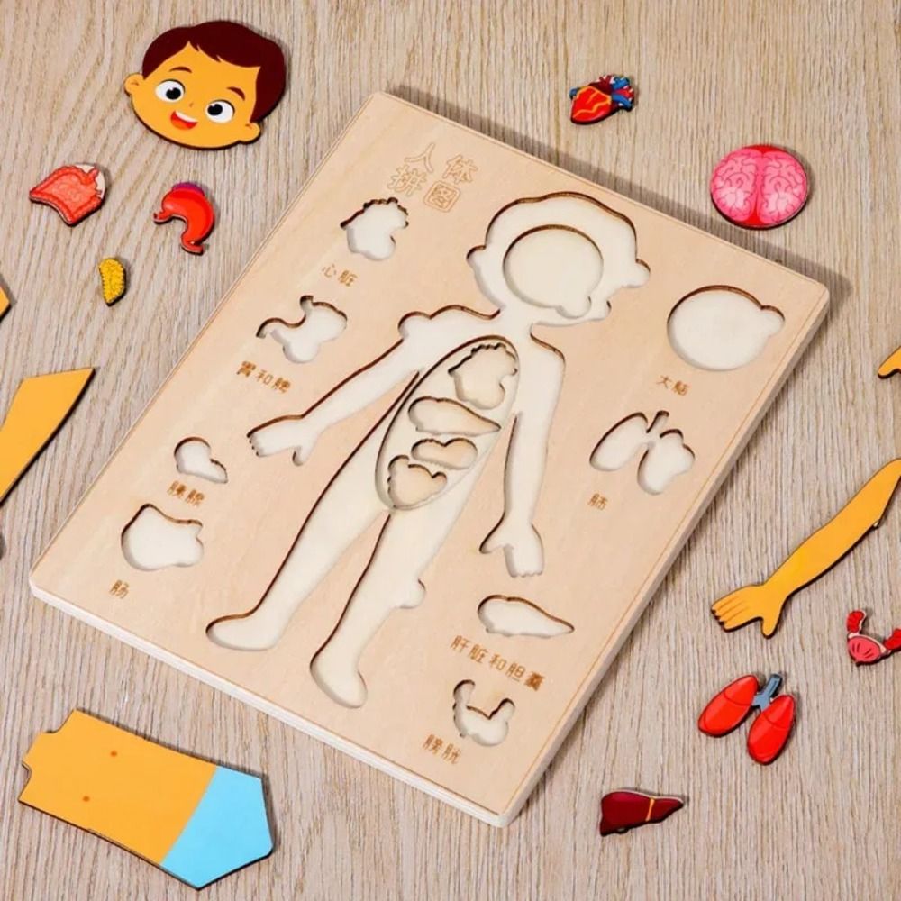NIEUW Leerbord Montessori-puzz - Human Body Puzzle recensie en prijs