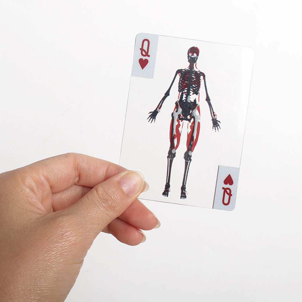 3D-afbeelding Educatieve kaart - Kids Education Images recensie en prijs