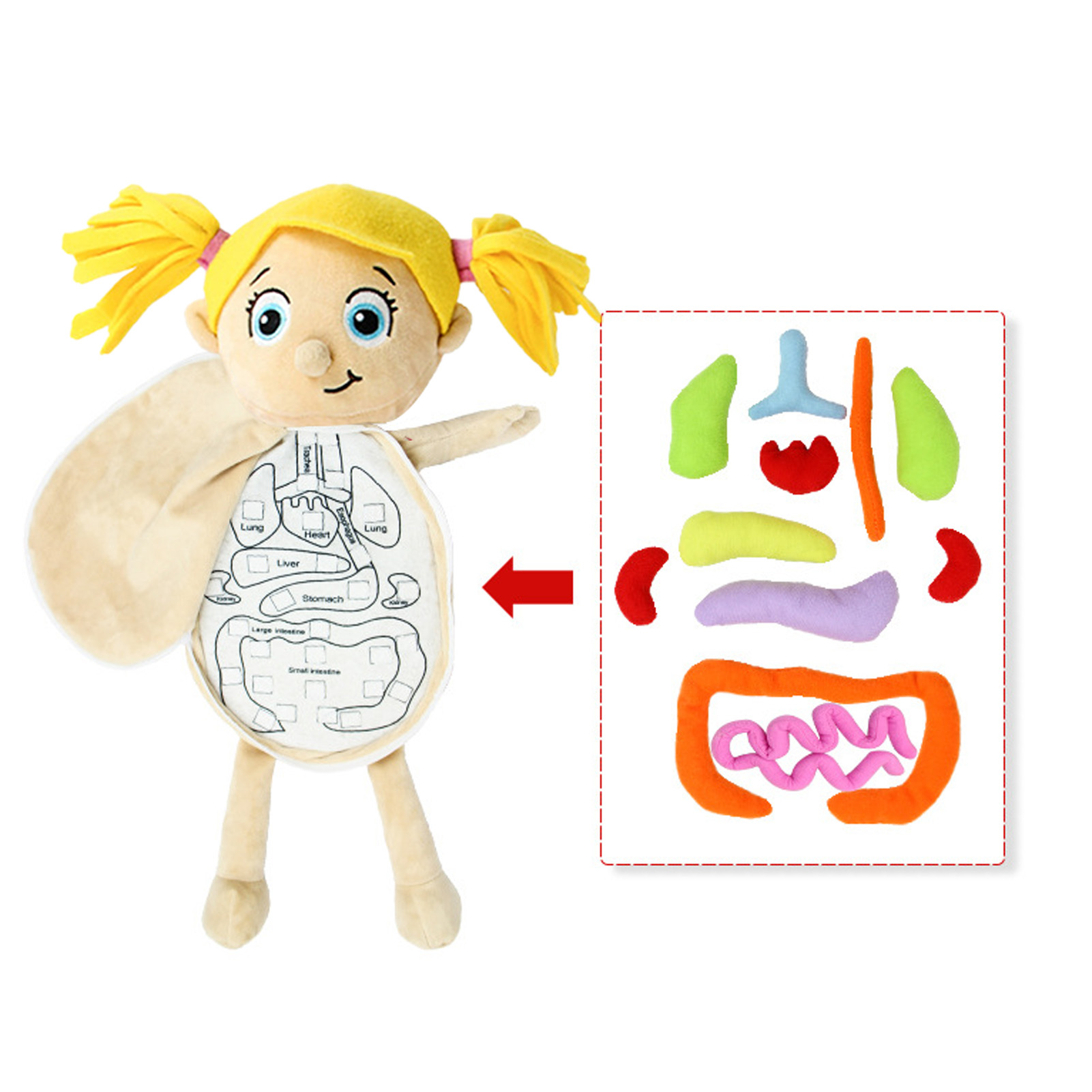 Kid Montessori Speelgoed 3D Pu - Human Body Puzzle recensie en prijs