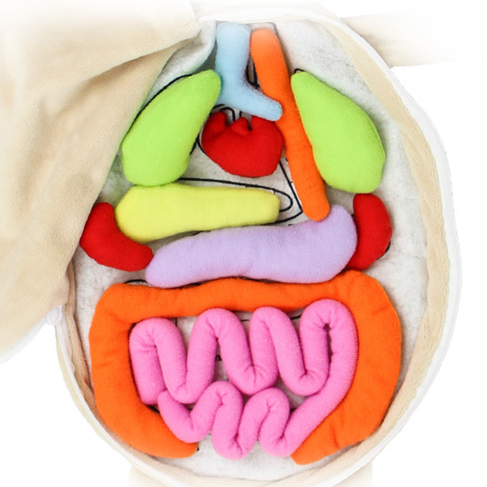 Kid Montessori Speelgoed 3D Pu - Human Body Puzzle recensie en prijs